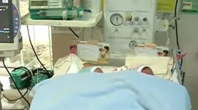Zodiacul Chinezesc. Ce zodie chinezească ești în funcție de anul nașterii