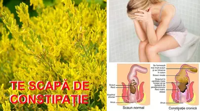 Zodiacul Chinezesc. Ce zodie chinezească ești în funcție de anul nașterii