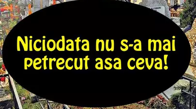 Zodiacul Chinezesc. Ce zodie chinezească ești în funcție de anul nașterii