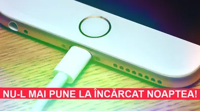 Zodiacul Chinezesc. Ce zodie chinezească ești în funcție de anul nașterii