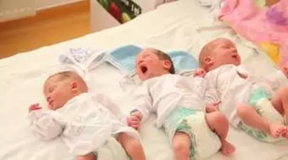 Zodiacul Chinezesc. Ce zodie chinezească ești în funcție de anul nașterii