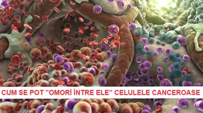 Zodiacul Chinezesc. Ce zodie chinezească ești în funcție de anul nașterii
