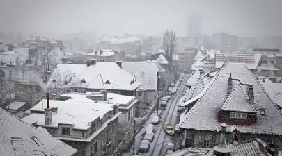 Zodiacul Chinezesc. Ce zodie chinezească ești în funcție de anul nașterii