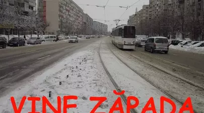 Zodiacul Chinezesc. Ce zodie chinezească ești în funcție de anul nașterii