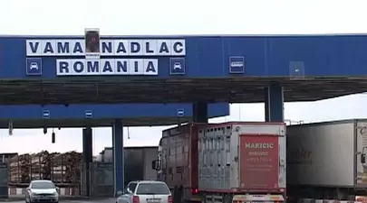 Zodiacul Chinezesc. Ce zodie chinezească ești în funcție de anul nașterii