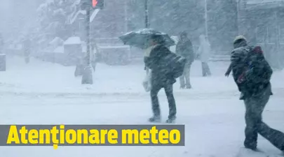 Zodiacul Chinezesc. Ce zodie chinezească ești în funcție de anul nașterii
