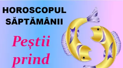 Zodiacul Chinezesc. Ce zodie chinezească ești în funcție de anul nașterii