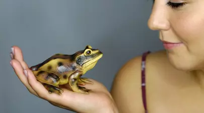 Zodiacul Chinezesc. Ce zodie chinezească ești în funcție de anul nașterii