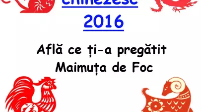 Zodiacul Chinezesc. Ce zodie chinezească ești în funcție de anul nașterii