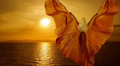 Zodiacul Chinezesc. Ce zodie chinezească ești în funcție de anul nașterii