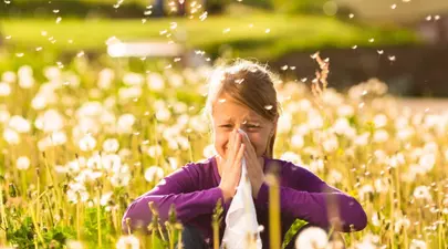 Zodiacul Chinezesc. Ce zodie chinezească ești în funcție de anul nașterii