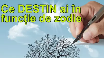 Zodiacul Chinezesc. Ce zodie chinezească ești în funcție de anul nașterii