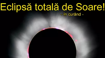 Zodiacul Chinezesc. Ce zodie chinezească ești în funcție de anul nașterii