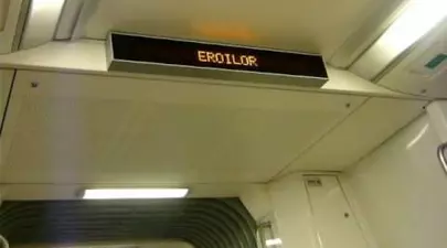 Zodiacul Chinezesc. Ce zodie chinezească ești în funcție de anul nașterii