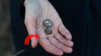Tu ai inelul lui Solomon? Priveste în palma!