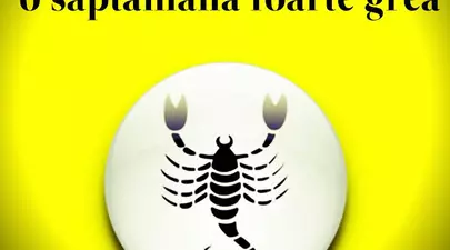 Zodiacul Chinezesc. Ce zodie chinezească ești în funcție de anul nașterii