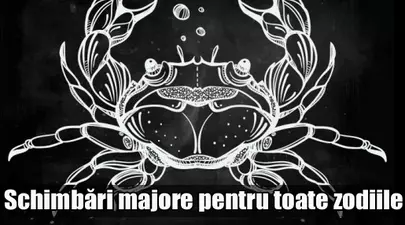 Zodiacul Chinezesc. Ce zodie chinezească ești în funcție de anul nașterii