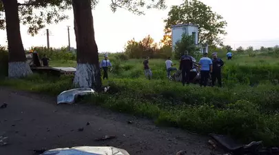 Zodiacul Chinezesc. Ce zodie chinezească ești în funcție de anul nașterii