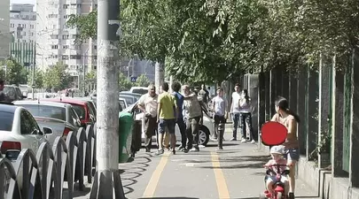 Zodiacul Chinezesc. Ce zodie chinezească ești în funcție de anul nașterii