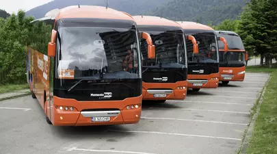 Zodiacul Chinezesc. Ce zodie chinezească ești în funcție de anul nașterii