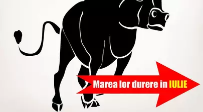 Zodiacul Chinezesc. Ce zodie chinezească ești în funcție de anul nașterii