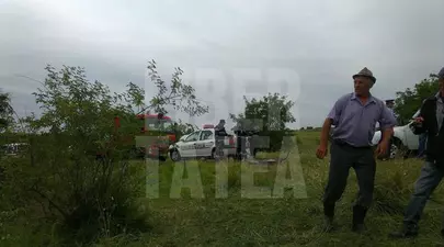 Zodiacul Chinezesc. Ce zodie chinezească ești în funcție de anul nașterii