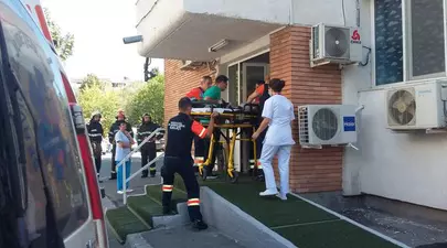 Zodiacul Chinezesc. Ce zodie chinezească ești în funcție de anul nașterii