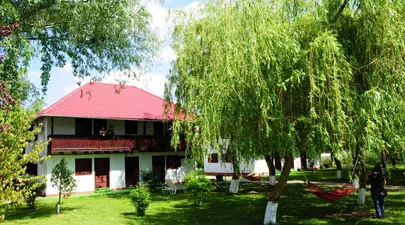 Zodiacul Chinezesc. Ce zodie chinezească ești în funcție de anul nașterii