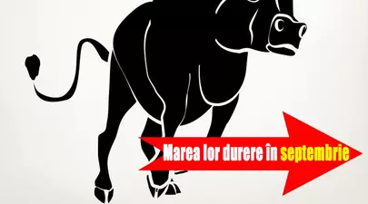 Zodiacul Chinezesc. Ce zodie chinezească ești în funcție de anul nașterii