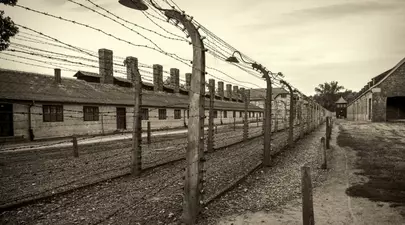 Zodiacul Chinezesc. Ce zodie chinezească ești în funcție de anul nașterii