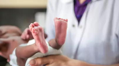 Zodiacul Chinezesc. Ce zodie chinezească ești în funcție de anul nașterii