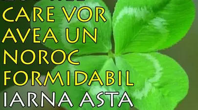 Zodiacul Chinezesc. Ce zodie chinezească ești în funcție de anul nașterii