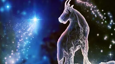 Zodiacul Chinezesc. Ce zodie chinezească ești în funcție de anul nașterii