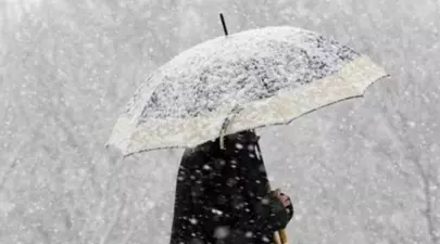 Zodiacul Chinezesc. Ce zodie chinezească ești în funcție de anul nașterii