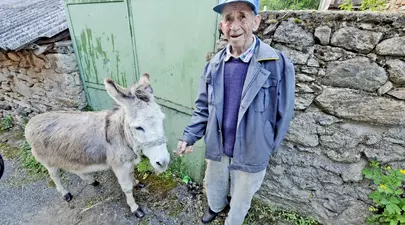 Zodiacul Chinezesc. Ce zodie chinezească ești în funcție de anul nașterii