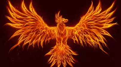 Zodiacul Chinezesc. Ce zodie chinezească ești în funcție de anul nașterii