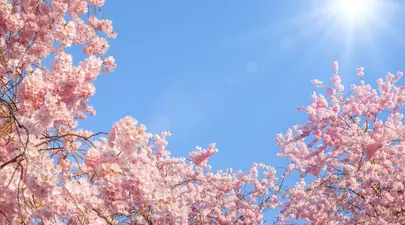 Zodiacul Chinezesc. Ce zodie chinezească ești în funcție de anul nașterii
