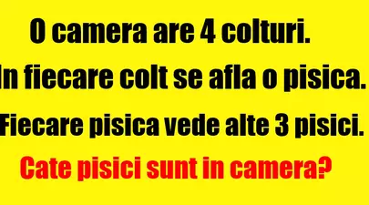 Zodiacul Chinezesc. Ce zodie chinezească ești în funcție de anul nașterii