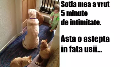Zodiacul Chinezesc. Ce zodie chinezească ești în funcție de anul nașterii