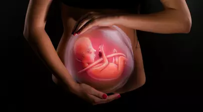Zodiacul Chinezesc. Ce zodie chinezească ești în funcție de anul nașterii