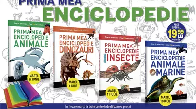 Zodiacul Chinezesc. Ce zodie chinezească ești în funcție de anul nașterii