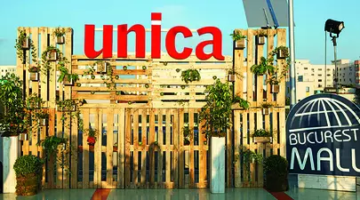 Zodiacul Chinezesc. Ce zodie chinezească ești în funcție de anul nașterii