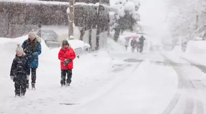 Zodiacul Chinezesc. Ce zodie chinezească ești în funcție de anul nașterii