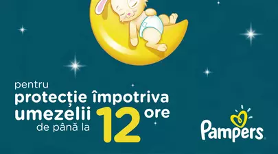 Zodiacul Chinezesc. Ce zodie chinezească ești în funcție de anul nașterii