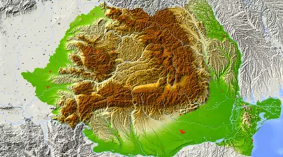 Zodiacul Chinezesc. Ce zodie chinezească ești în funcție de anul nașterii