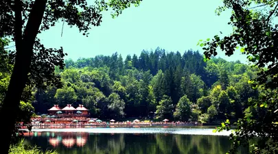Zodiacul Chinezesc. Ce zodie chinezească ești în funcție de anul nașterii