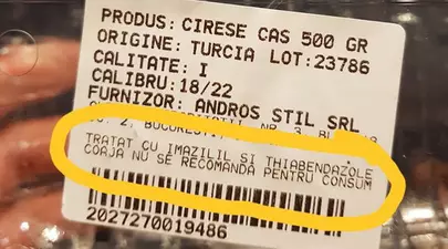 Zodiacul Chinezesc. Ce zodie chinezească ești în funcție de anul nașterii