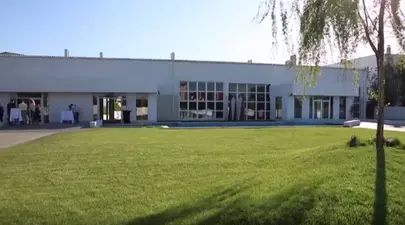 Zodiacul Chinezesc. Ce zodie chinezească ești în funcție de anul nașterii