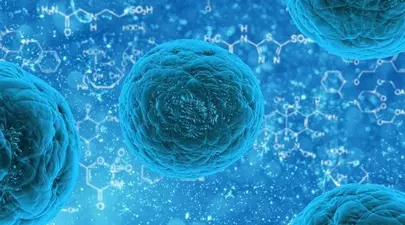Zodiacul Chinezesc. Ce zodie chinezească ești în funcție de anul nașterii