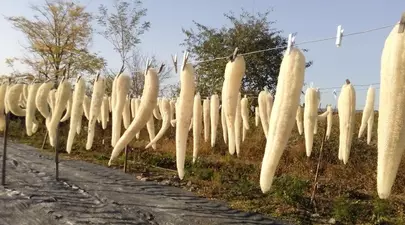 Ce idee de afaceri a avut o brăileancă! Mihaela Arion produce mii de bureți lufa